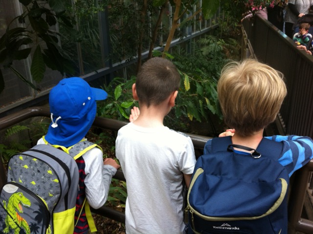 Brunswick for kids
