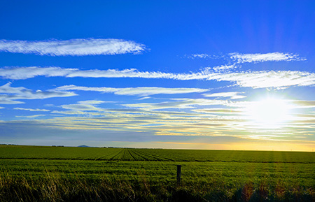 Victoria’s Agricultural sector deserves better