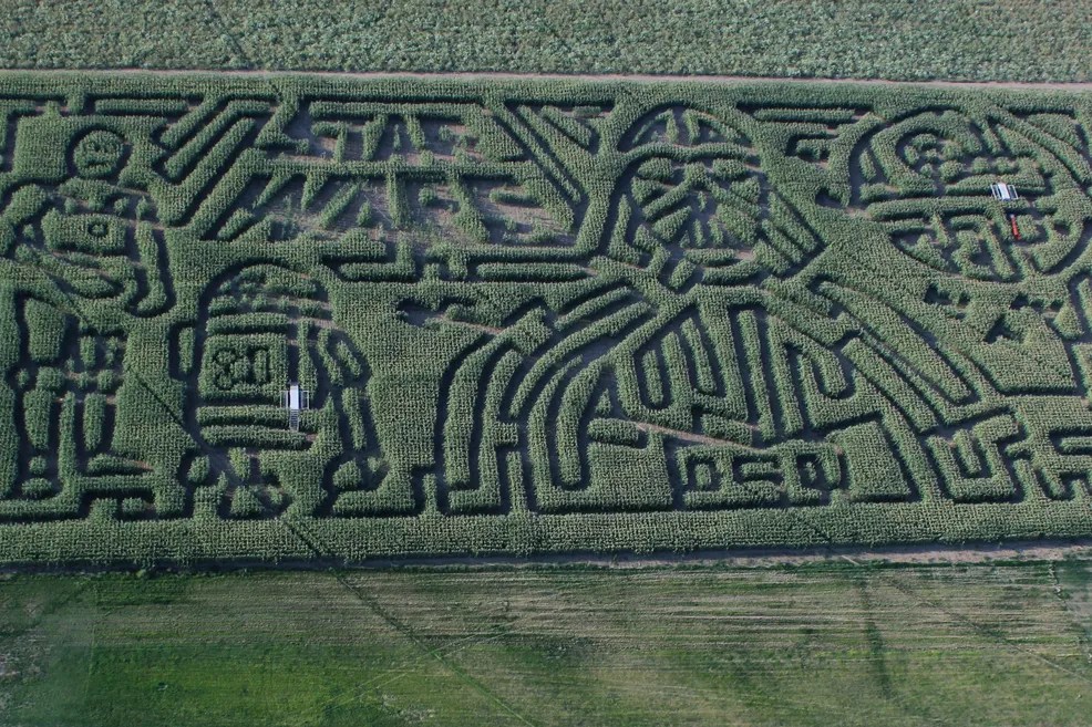 The rural maze – duplicated agriculture, energy and regional development schemes must&nbsp;stop